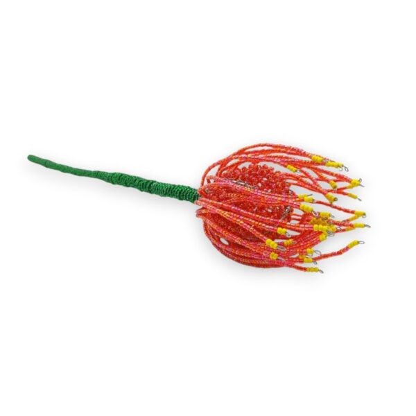 Beaded-Pincushion-protea-flower-41cmx8cmx8cm