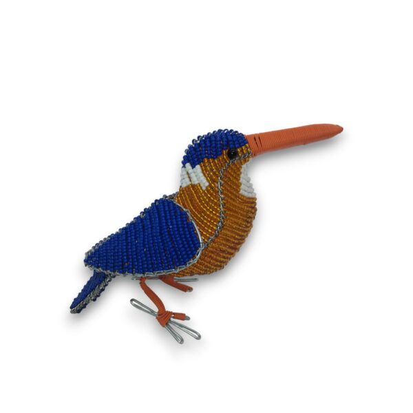 transparent-Photoroom (23) Kingfisher