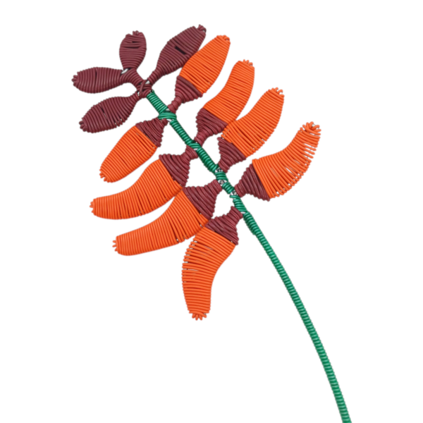 D069 Coral tree blossom, Sams Indigenous flowers Wire and scoobie wire 2d flower 40 cm 15 grams (2) Coral-tree-blossom-wire-art