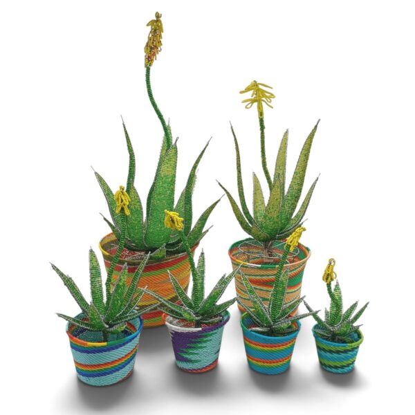 Beaded and wire Aloes in scoobie flower pots, 6 sizes Beaded-and-wire-Aloes-in-scoobie-flower-pots-6-sizes