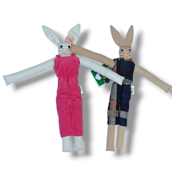 S001-3 Bunnykat small (2)